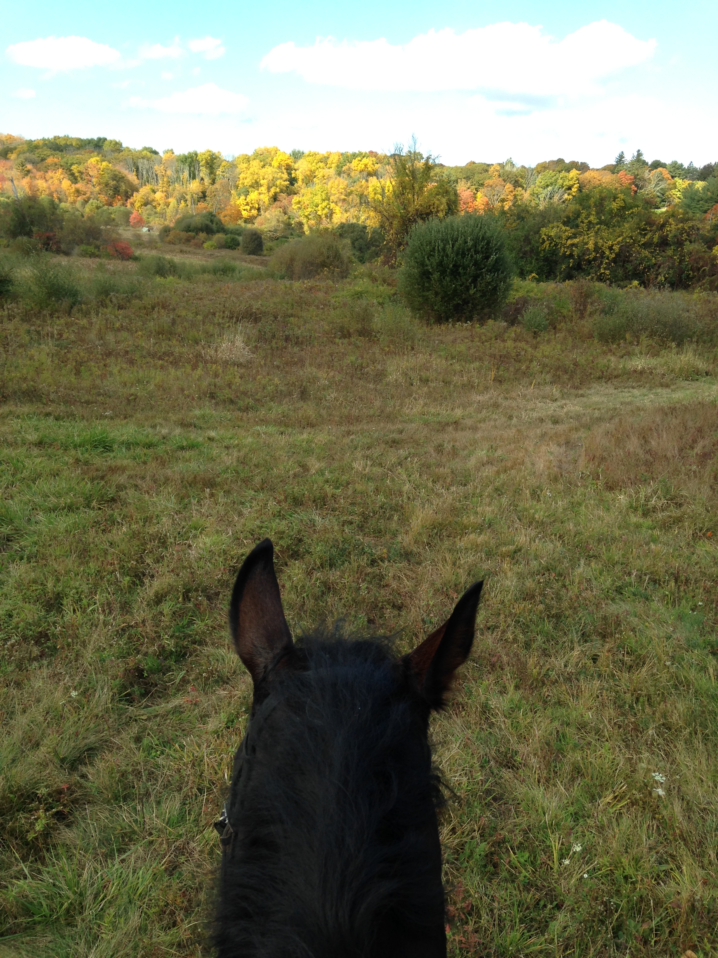 2013-10-17 13.35.51.jpg