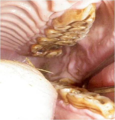 Picture7.jpg