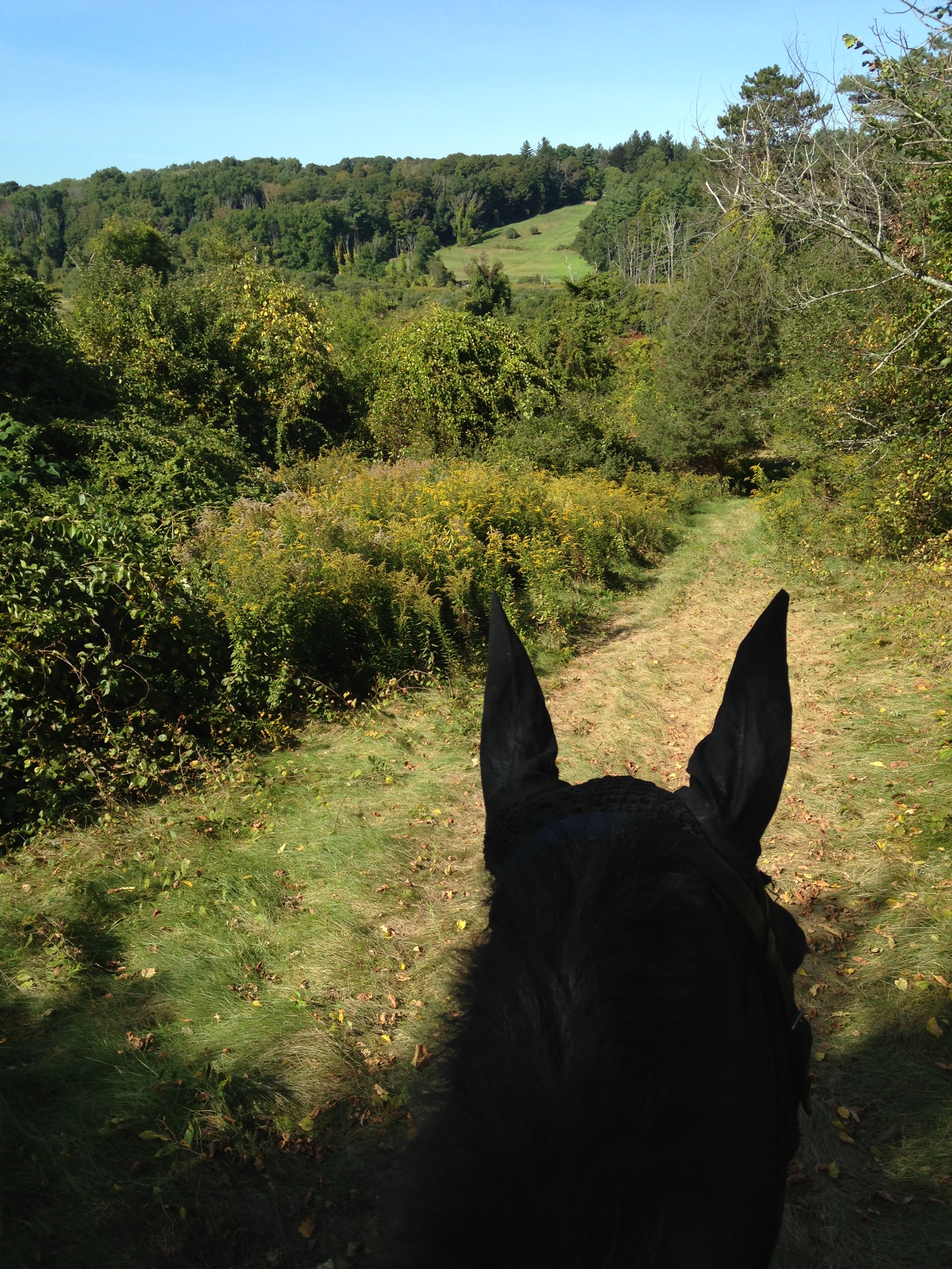 2013-09-20 14.50.25.jpg