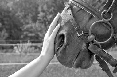 shutterstock_139471598_BW.jpg