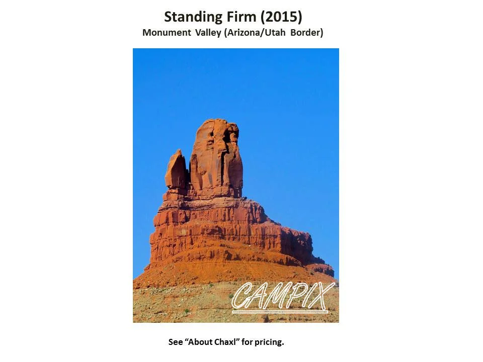 squaresspace photos to sell standing firm WM.jpg