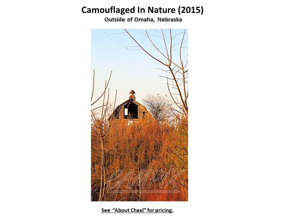 camouf in nnature wm.jpg