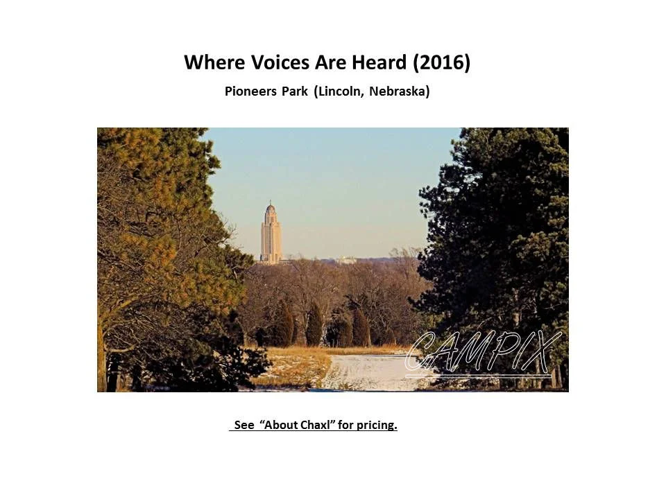 where voices WM 2.jpg