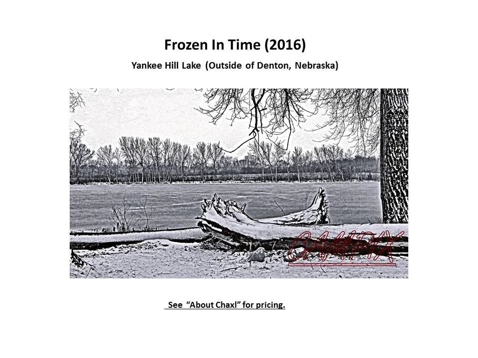 Frozen in Time WM.jpg