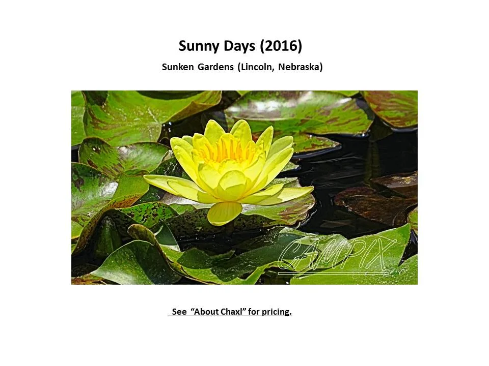 sunny days WM.jpg