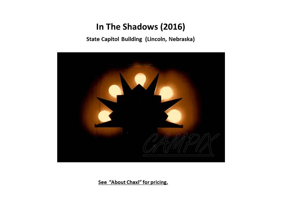 In The Shadows wm.jpg