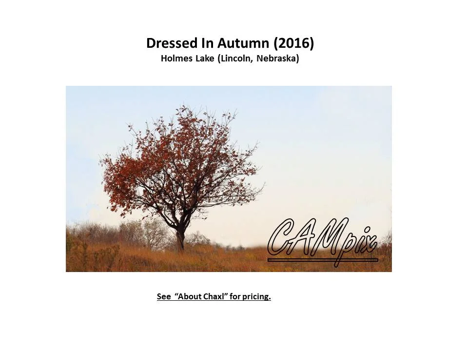 dressed in autumn WM.jpg