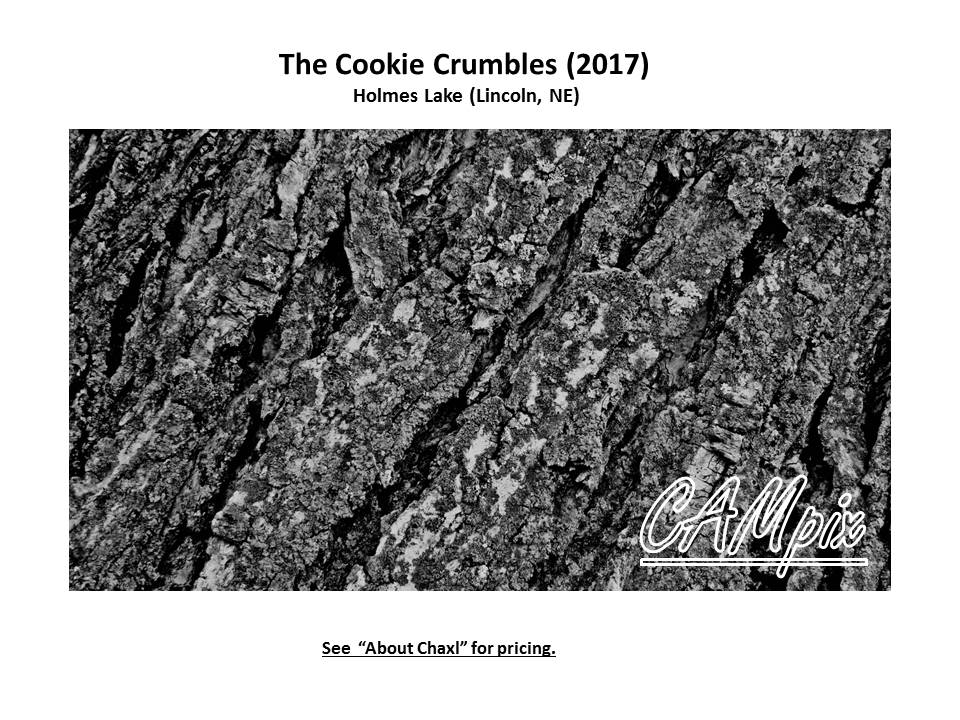 Slide1.JPG
