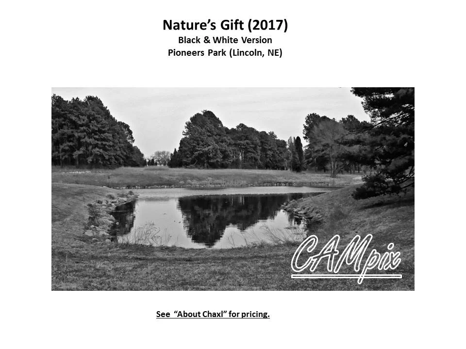 natures gift Wm bw.jpg