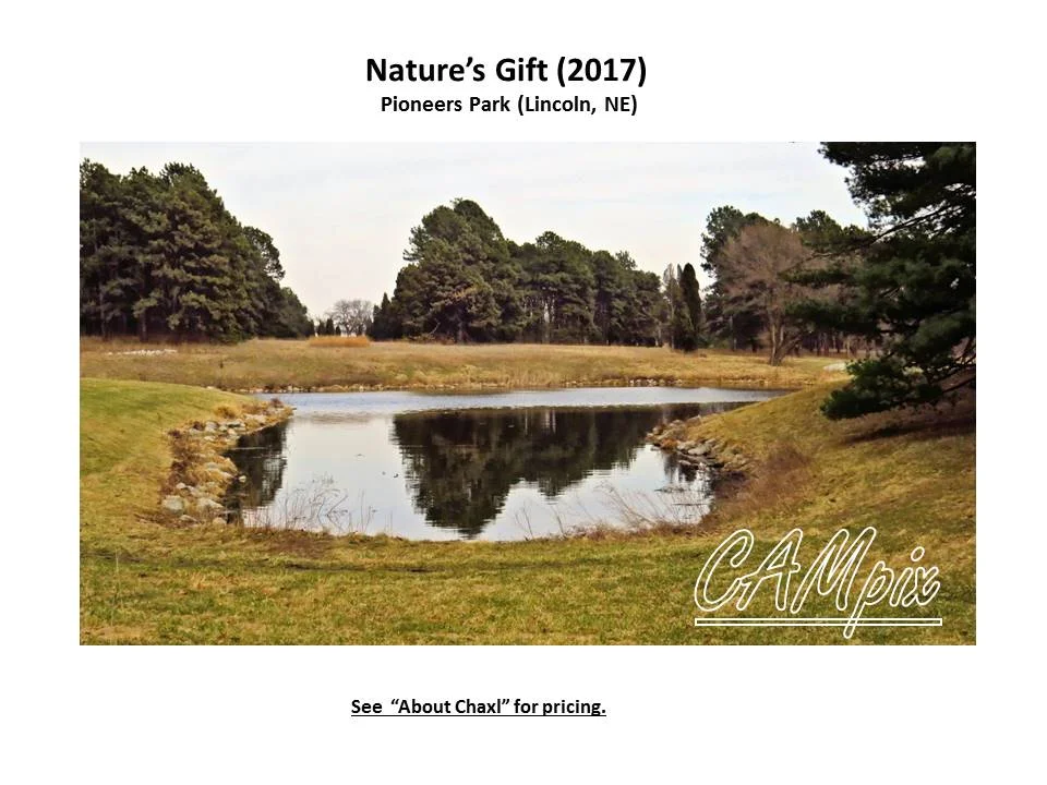 natures gift Wm.jpg
