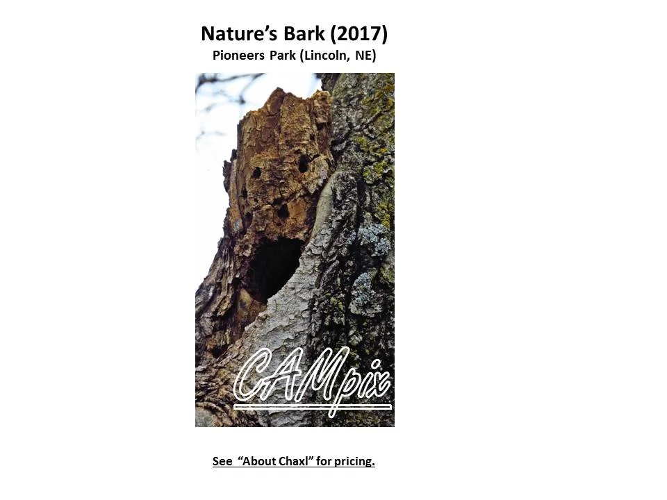Nature's Bark WM.jpg