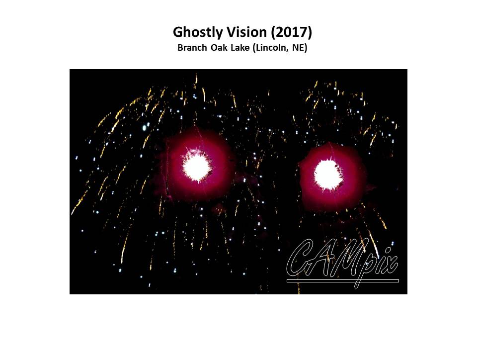 ghostly vision WM.jpg