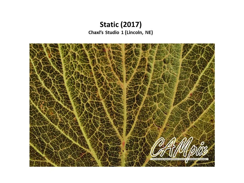 static wm.jpg