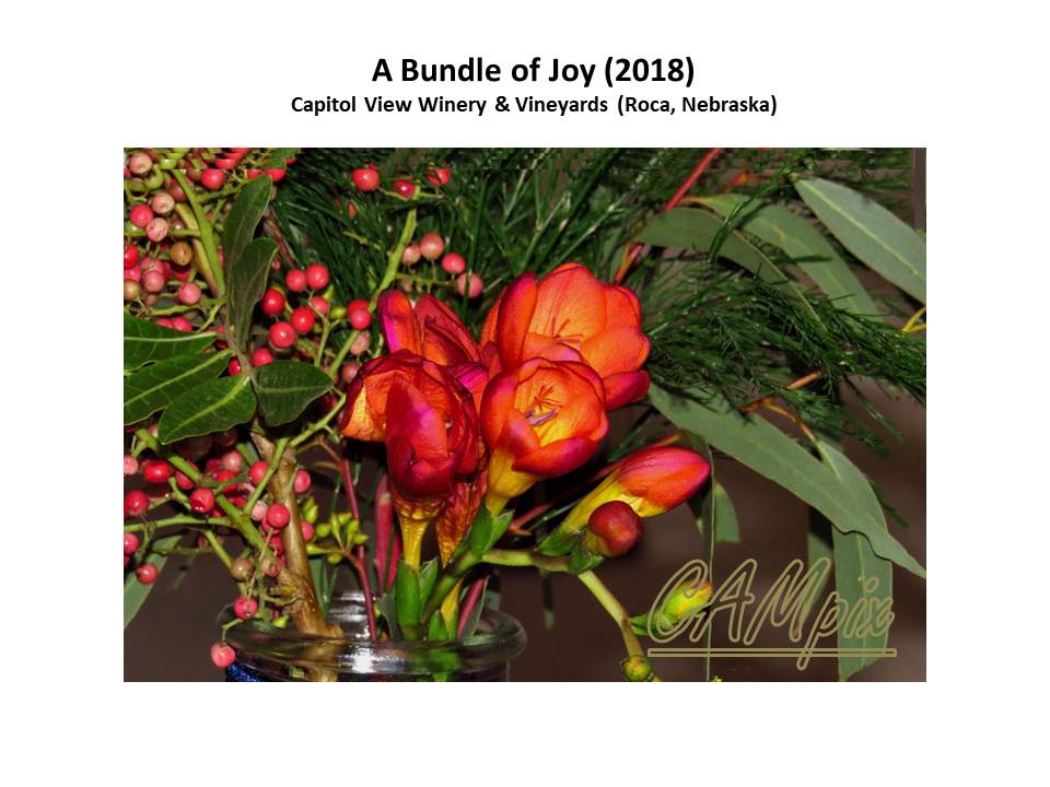 a bundle of joy wm.jpg