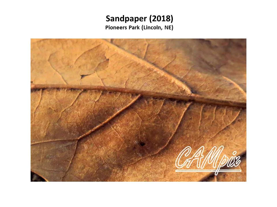 sand paper wm.jpg