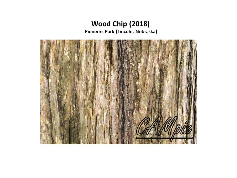 wood chip wm.jpg