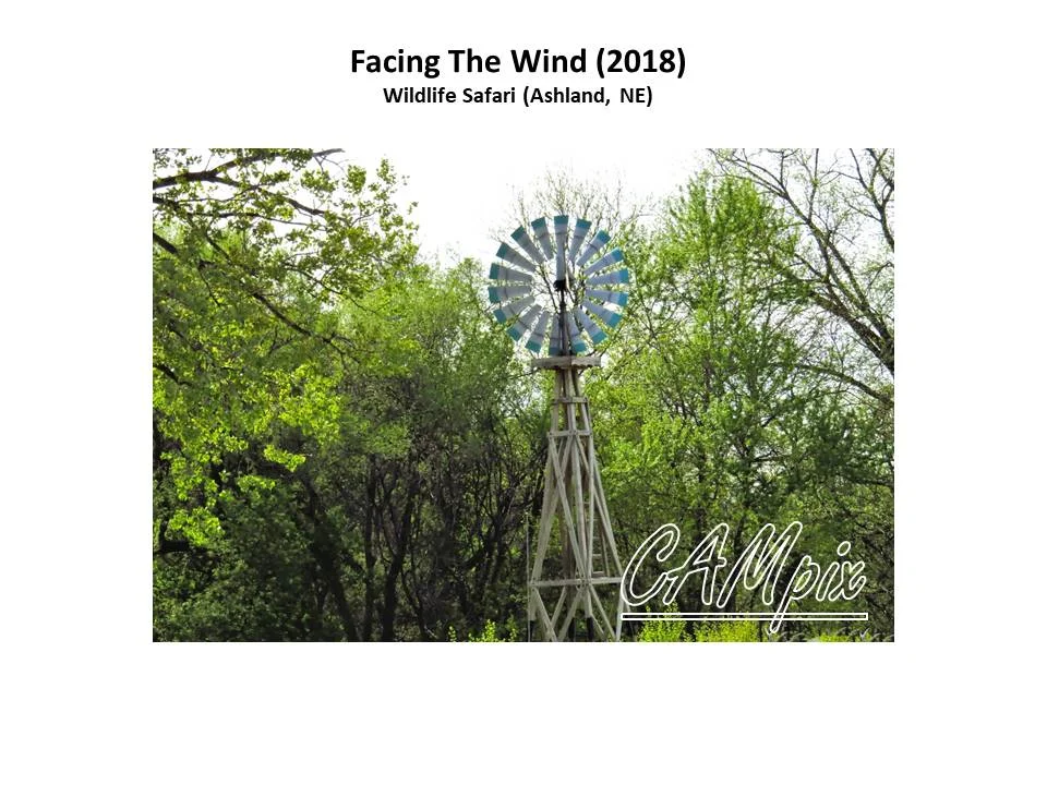 facing the winnd wm.jpg