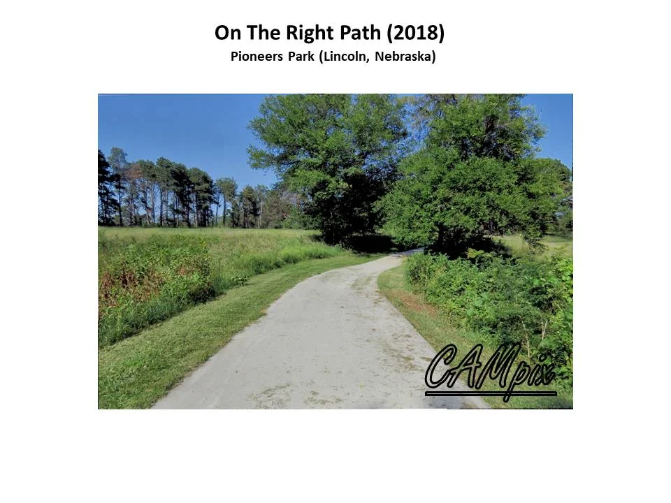 on the right path wm.jpg