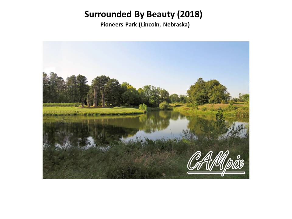 surrounded by beauty wm.jpg