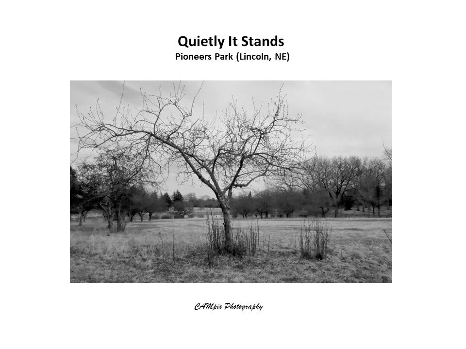 Slide140.JPG