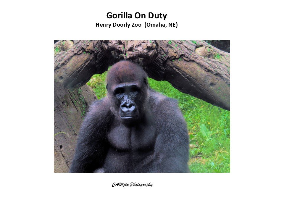 Slide302.JPG
