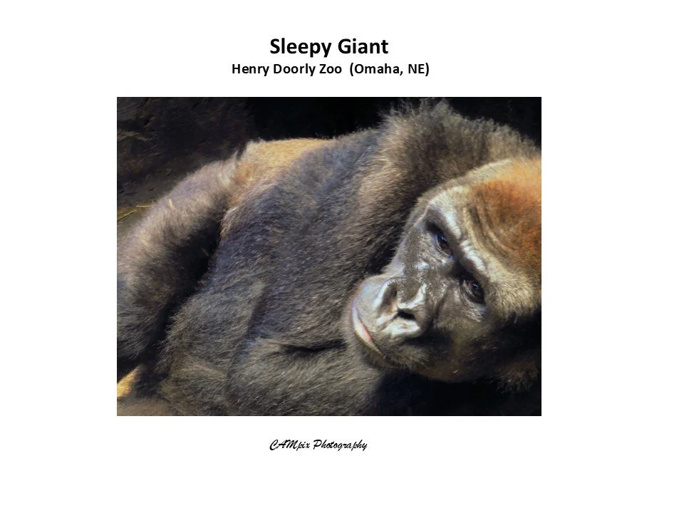 Slide628.JPG