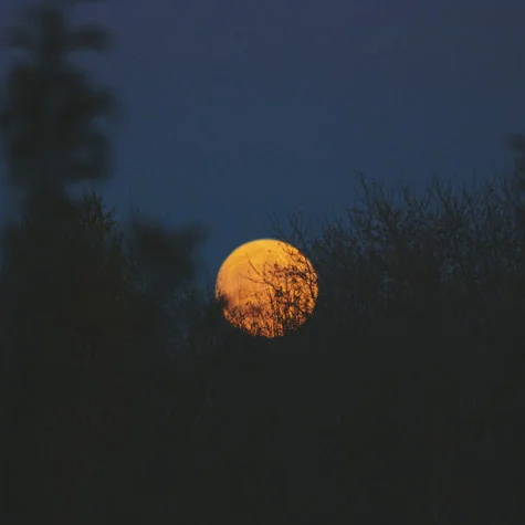 Celestial Matters