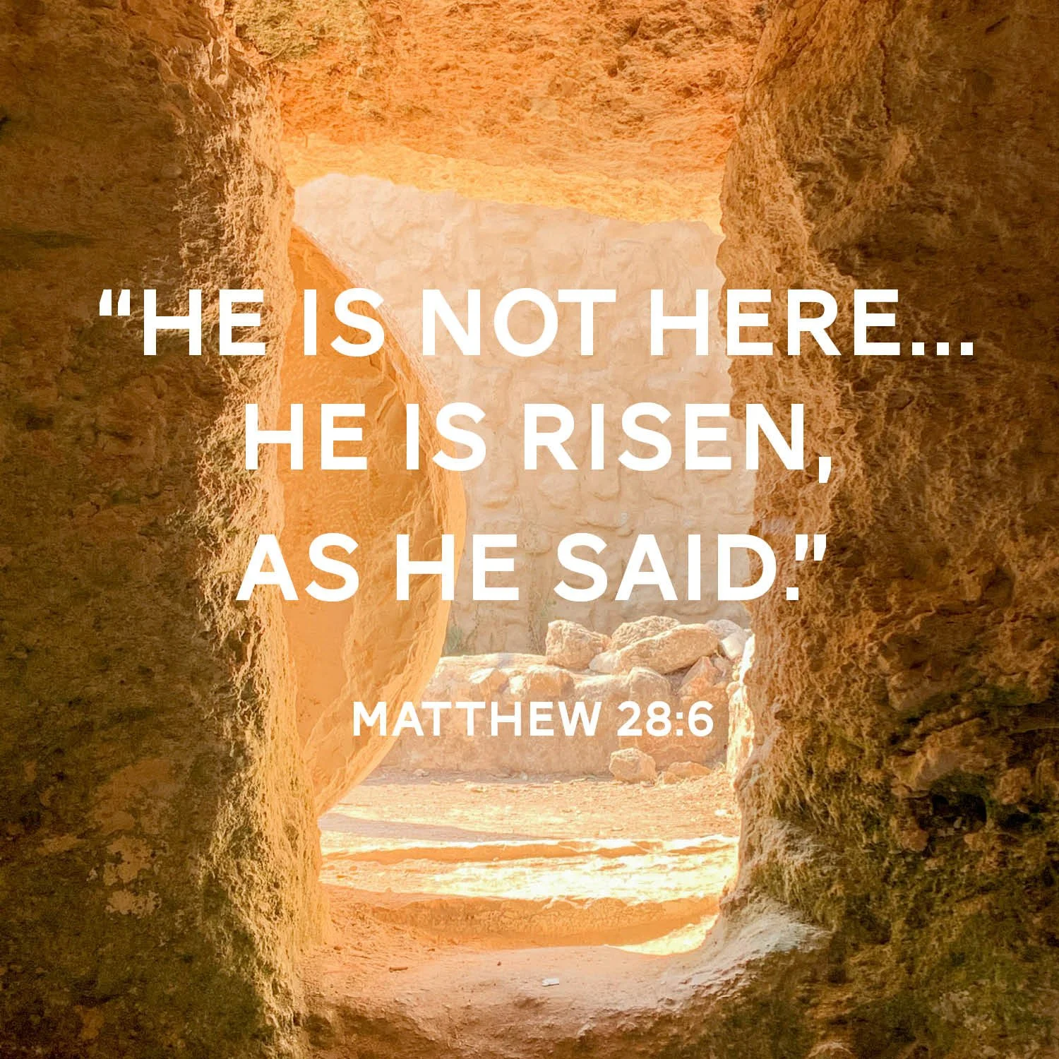 Worship Service &amp; Resurrection Celebration