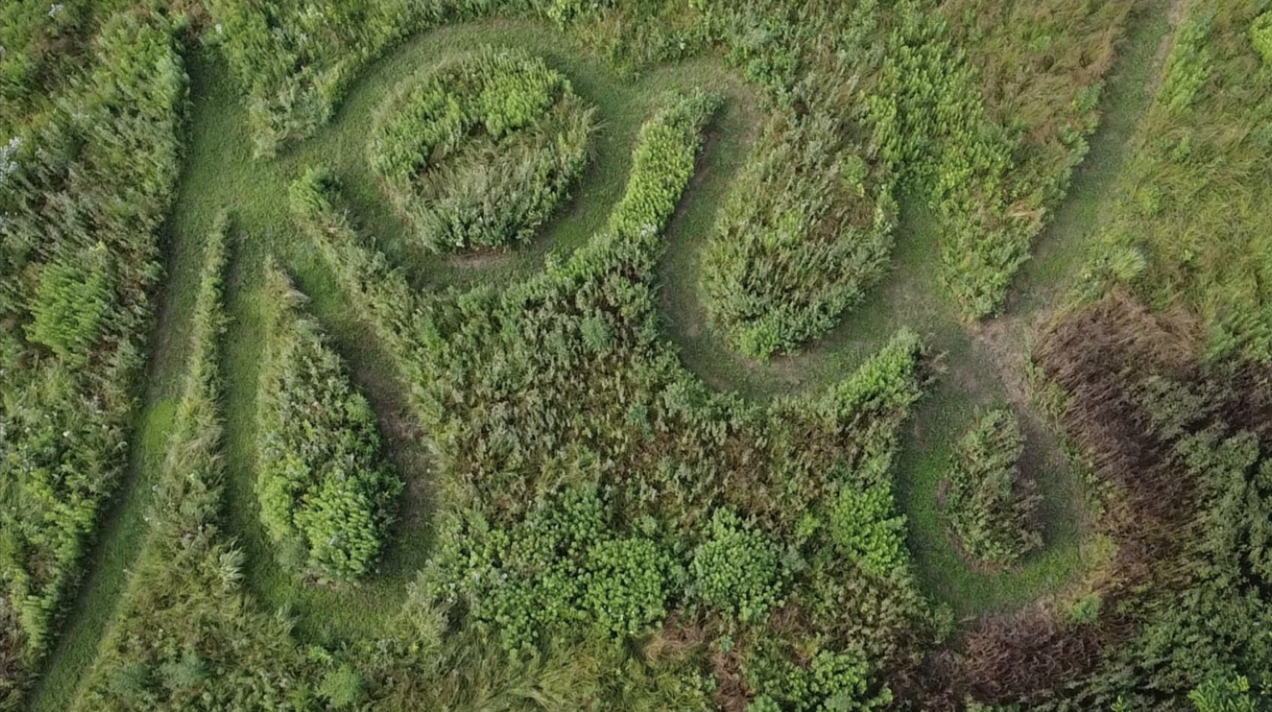 The Joy Maze from above