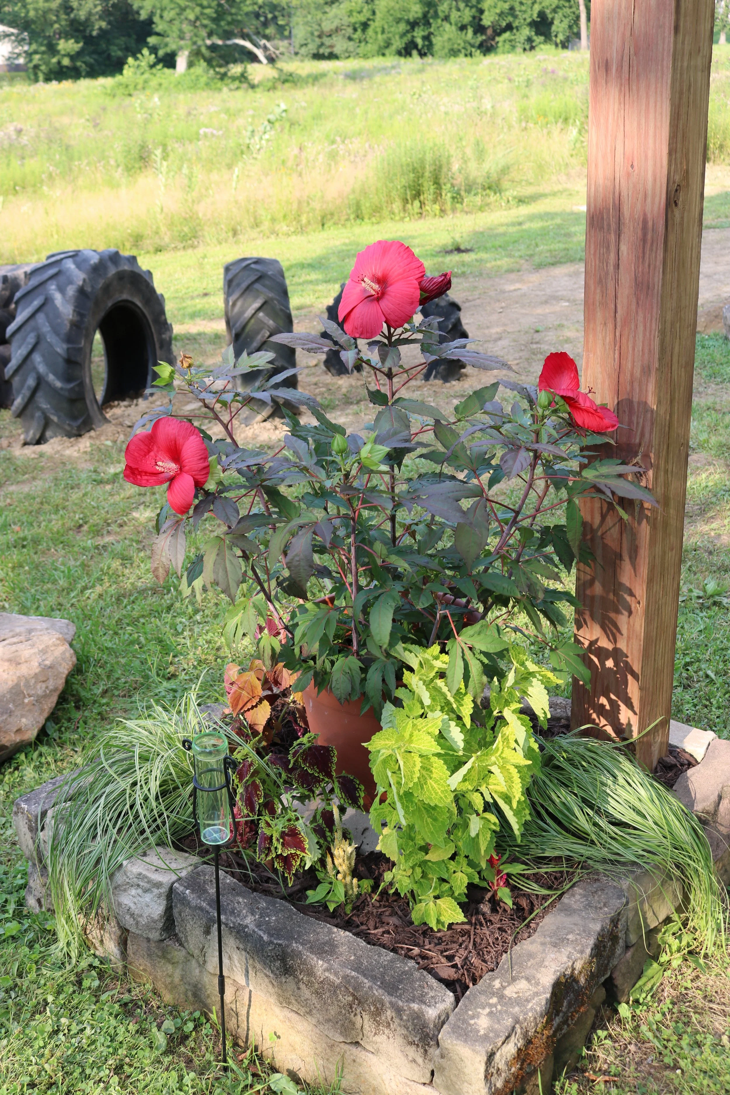 Entryway planters