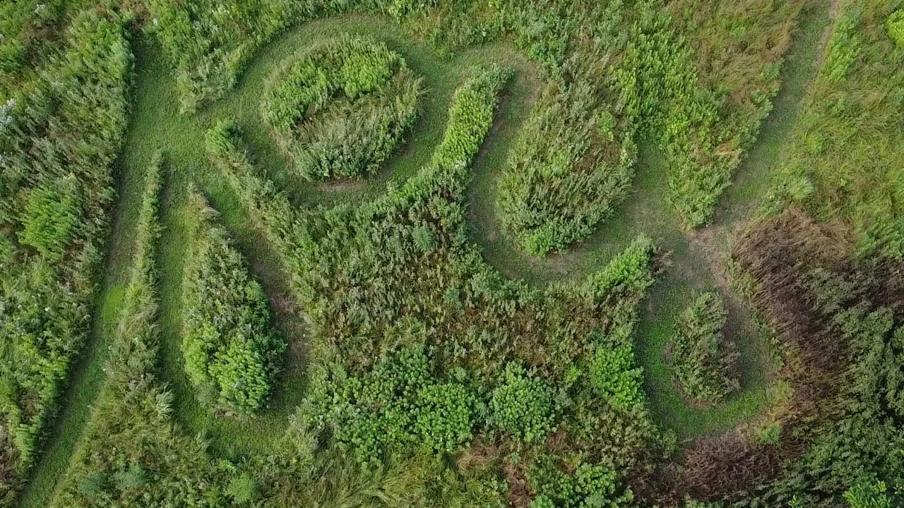 The JOY MAZE from above