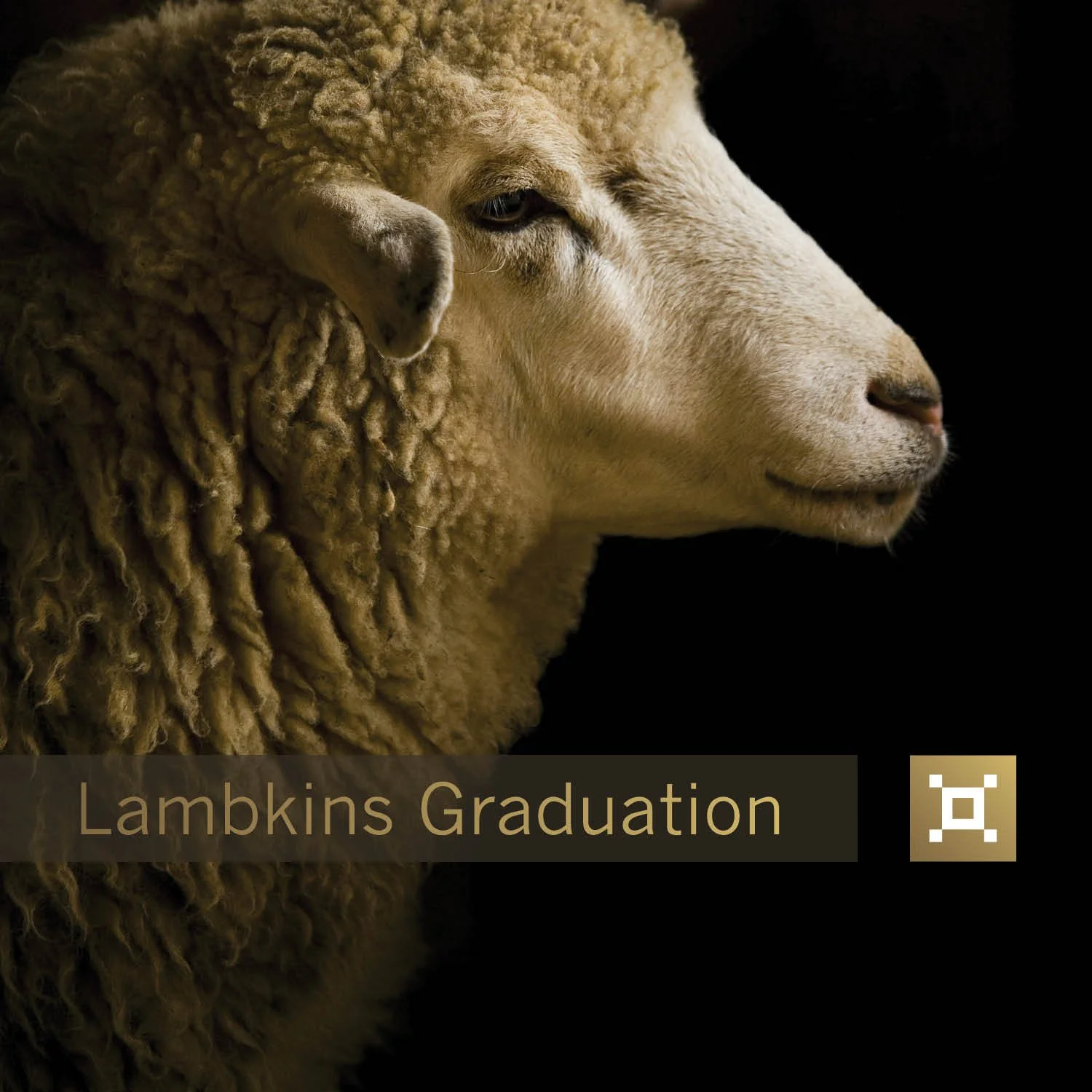 Lambkins Graduation