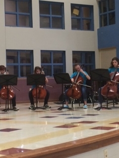 Cello Camp 2014