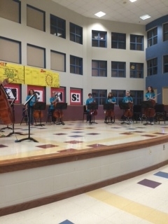 Cello Camp 2014