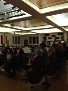 U of A Camp Symphony Orchestra, 2014
