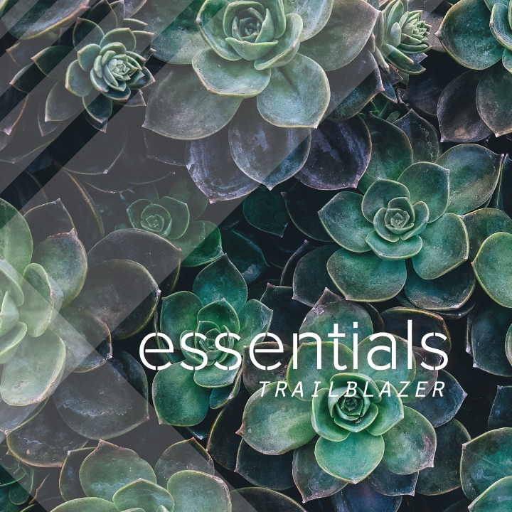 Trailblazer Pt 2- Essentials