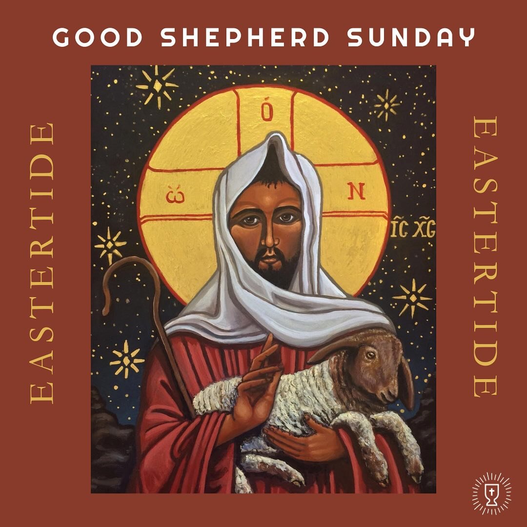 This Sunday is Good Shepherd Sunday. On this Sunday, we hear Jesus&rsquo; parable in John 10 where he refers to Himself as The Good Shepherd. Psalm 23 is also read on this Sunday. The image of Jesus as the Good Shepherd provides a drastic contrast wi
