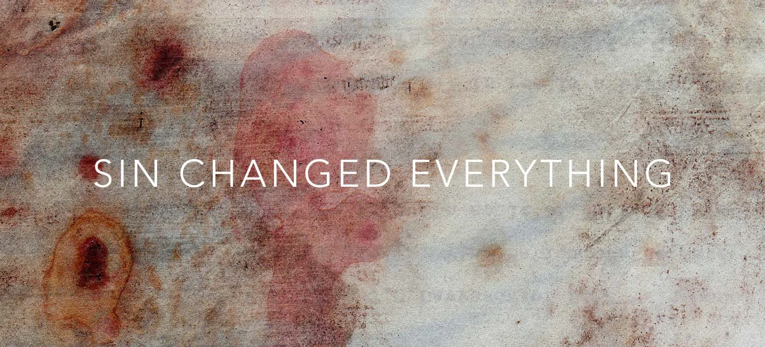 Sin Changed Everything