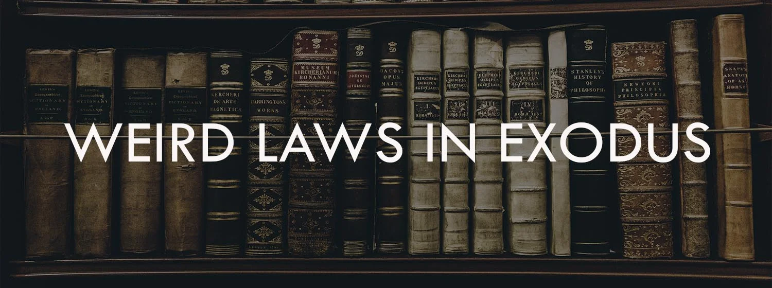 LAWS.jpg
