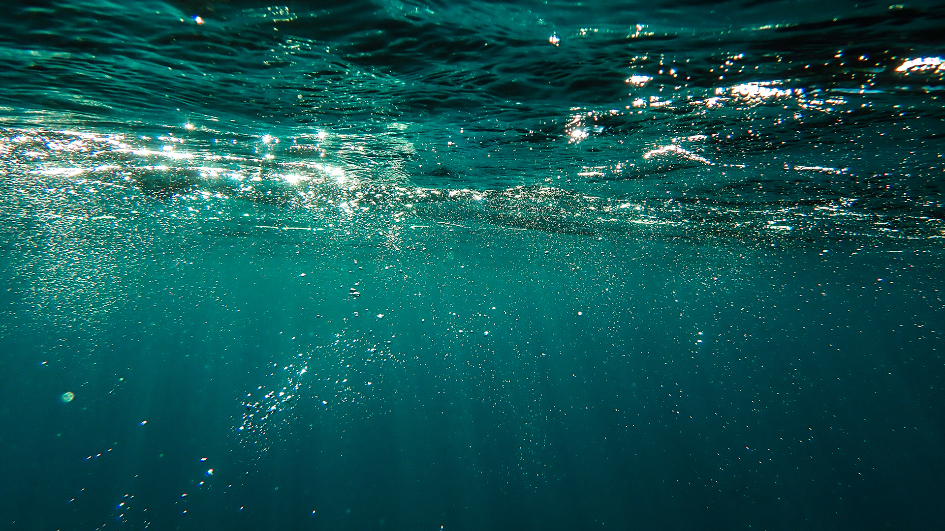   Water Baptism   Interested in being water baptized?  Sign up for our online  Water Baptism Course.  