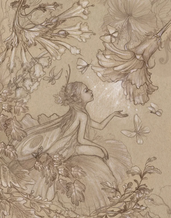 faerie_sketch.jpg