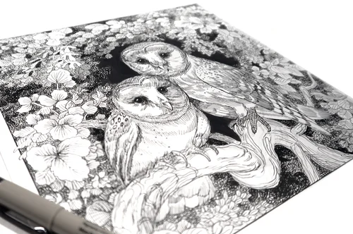 February Coloring Contest