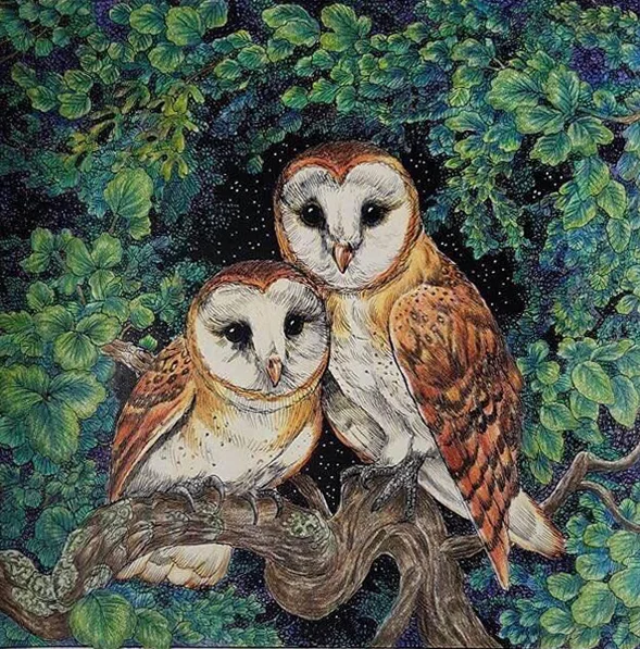 "I chose this as my 3rd place because it just invites you in. I love how the mossy branch has been coloured in a such a realistic way. The owls are realistic and beautifully coloured. The leaves are so pretty with their hints of a blue and the night sky sparkling behind really pulls this picture together." -Nikki Hodges