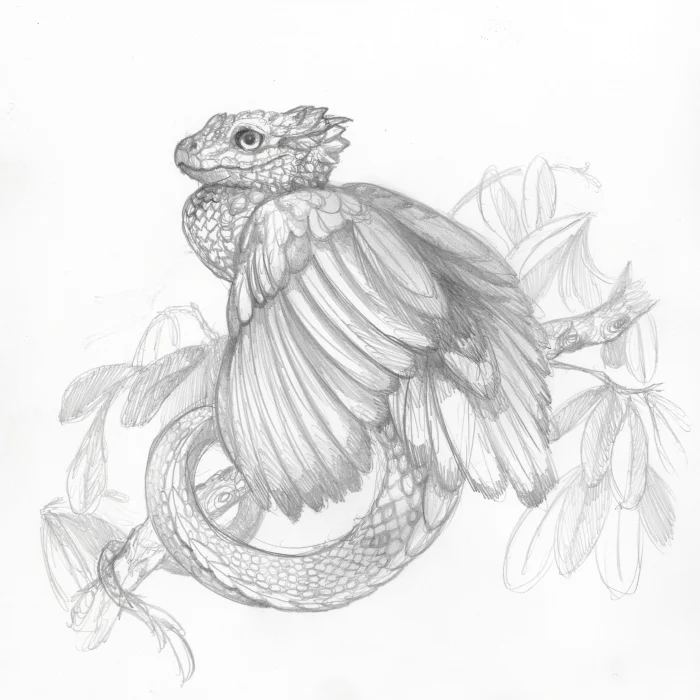Dragon_01_store.jpg