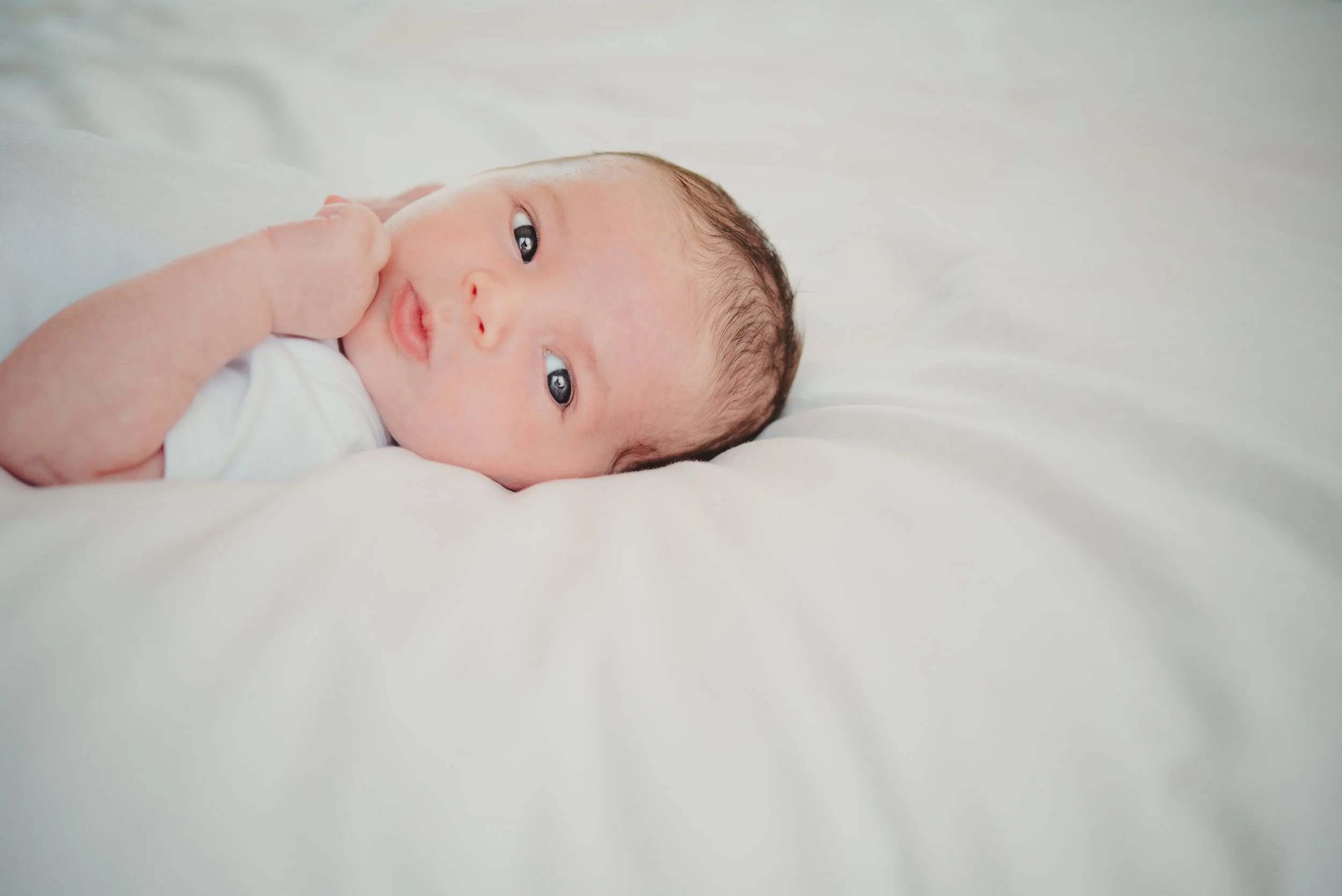 180911-Ellis-Broude-Newborn-1743-Edit.jpg