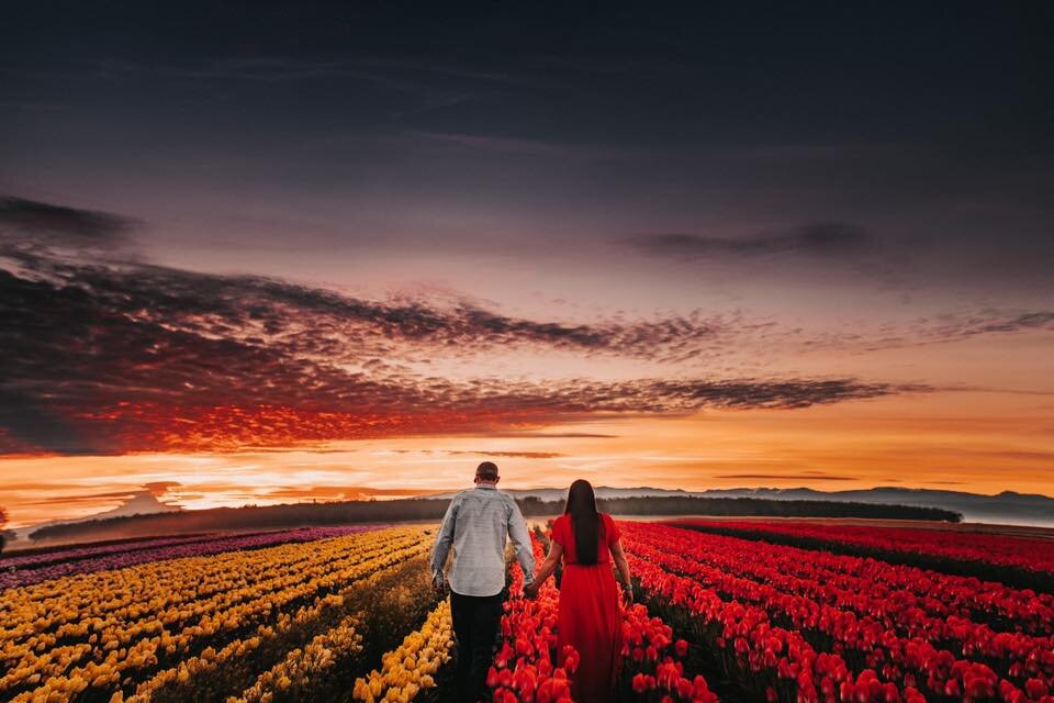 Woodburn-Oregon-Tulip-Festival-Engagement-Photos-Amy-Booker-Photography