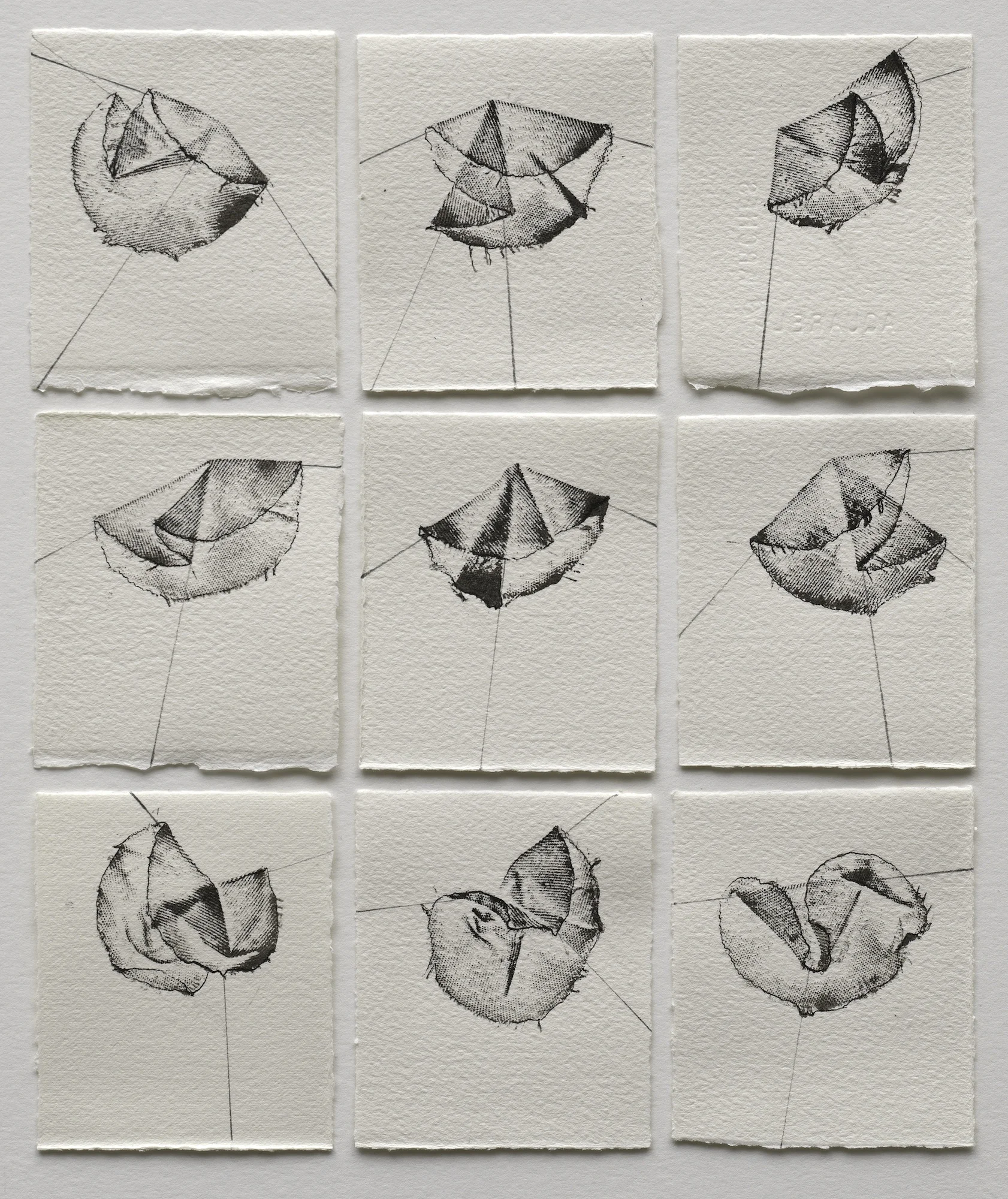 Ink Folds