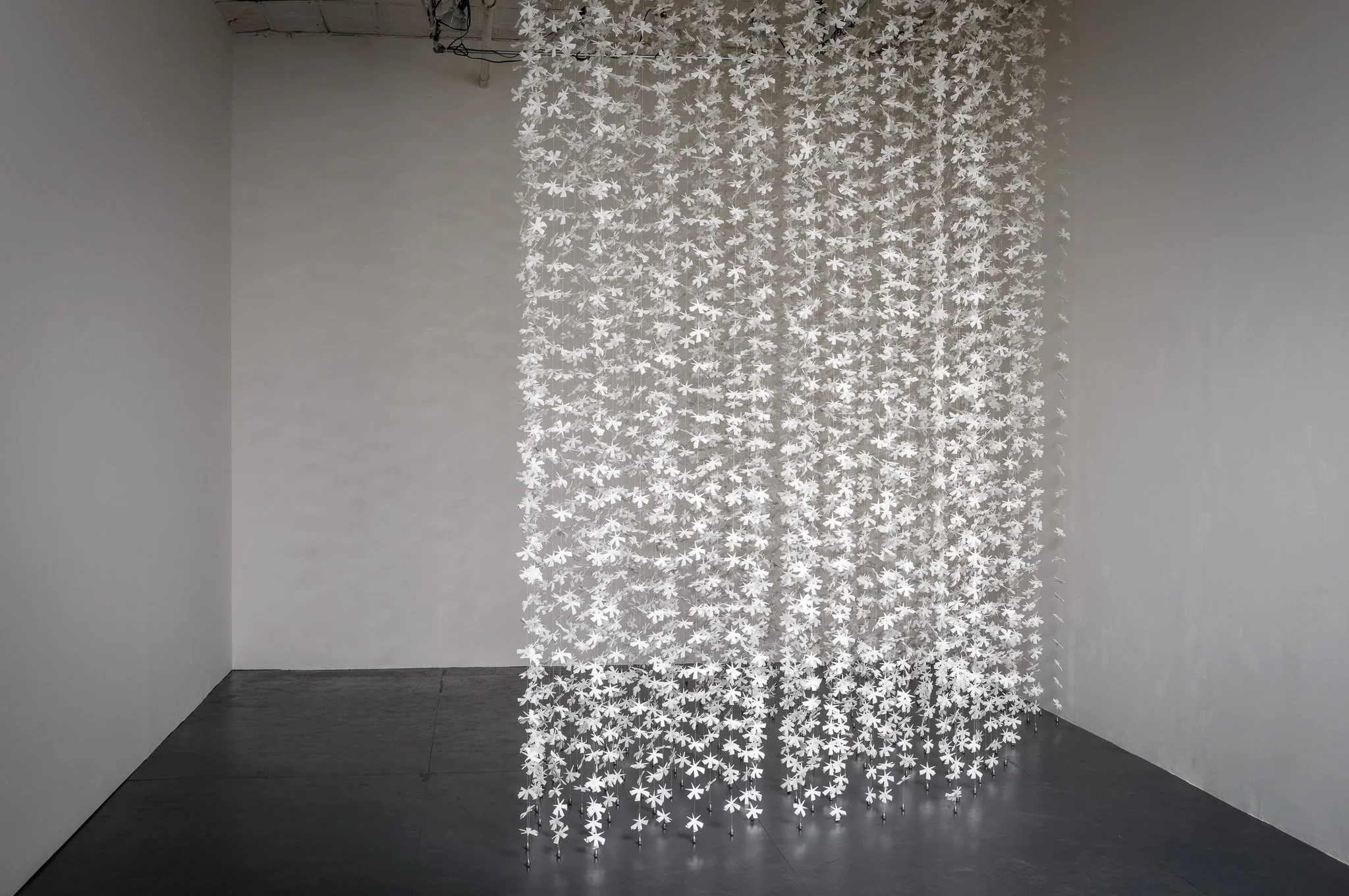  1st iteration, Robert Henry Contemporary, Brooklyn, NY 