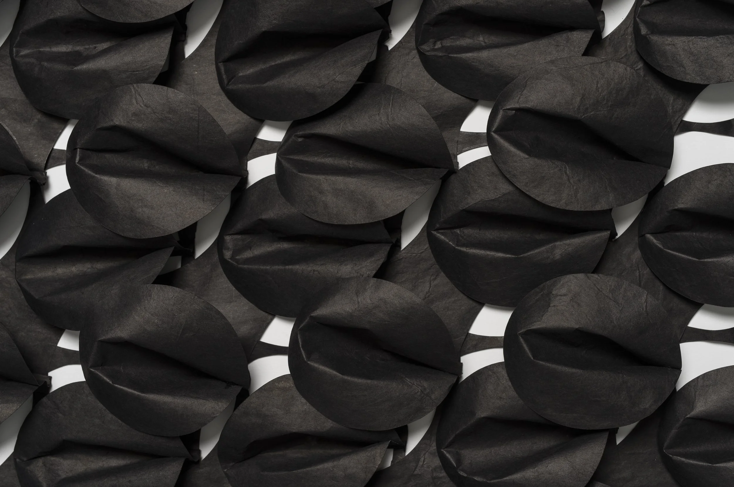  Big Black Venus (detail) 