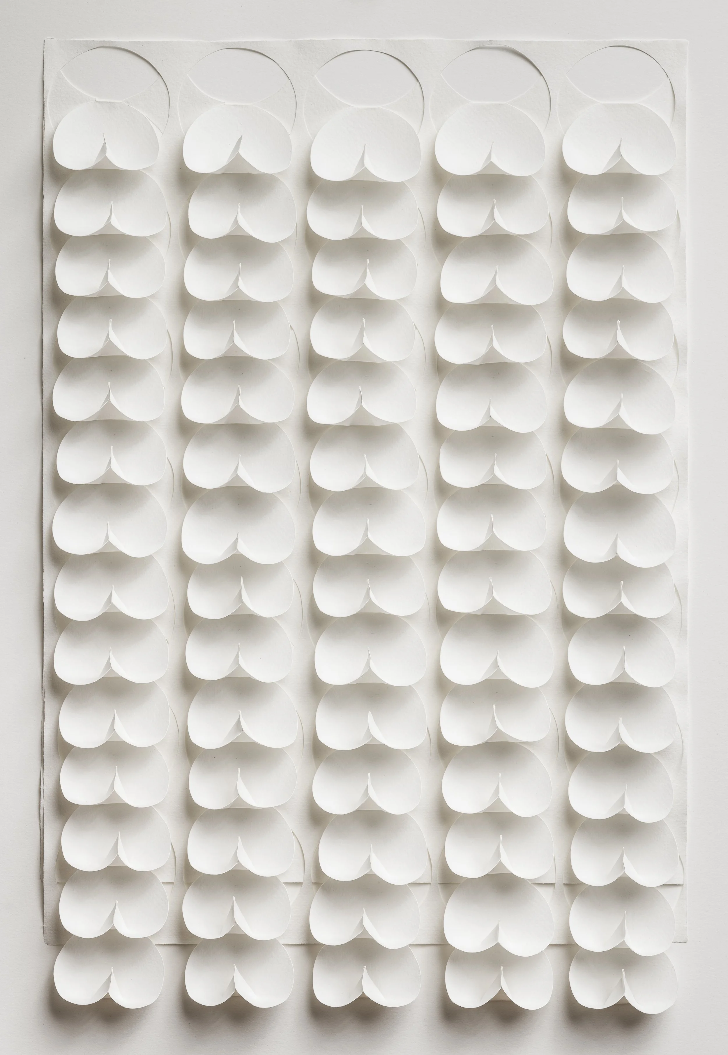  Abacus 24 5/8” x 16 5/16” x 1 1/8” 